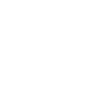 238 Icon