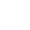 Instagram Connect Icon